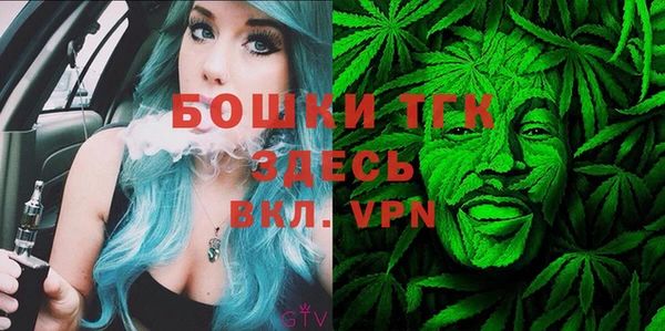 стаф Кинешма