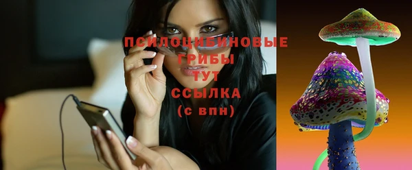 ALPHA PVP Киреевск