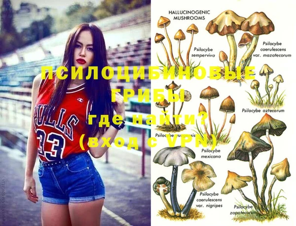 ALPHA PVP Киреевск