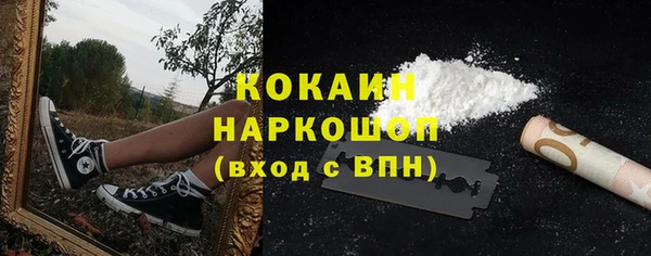 стаф Кинешма