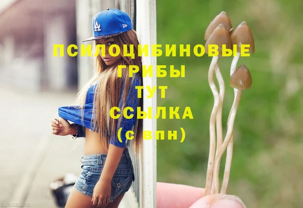 стаф Кинешма