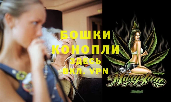 стаф Кинешма