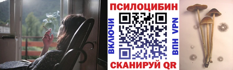 Галлюциногенные грибы MAGIC MUSHROOMS  купить наркотик  Очёр 